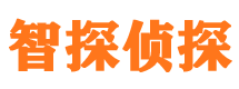 蓬江市私家侦探